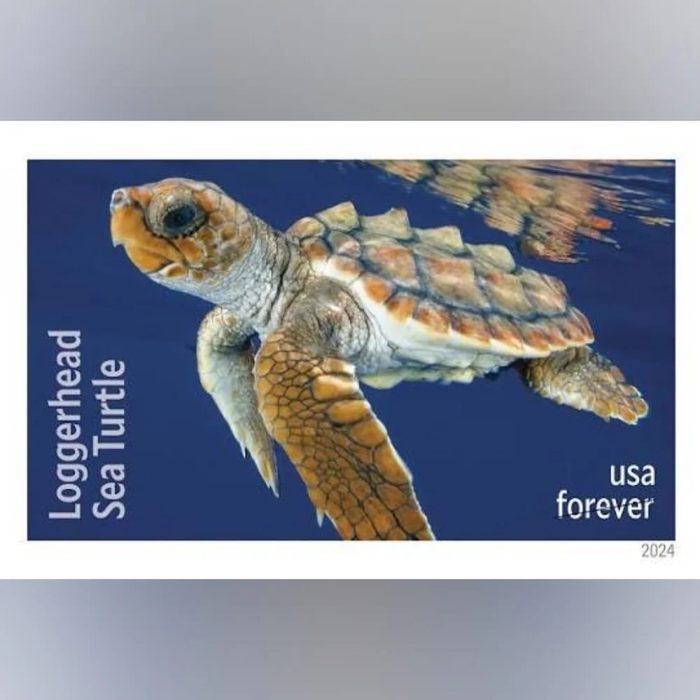 90 Protect Sea Turtles Forever Postage Stamps USPS‎ Wedding Invitations 2024